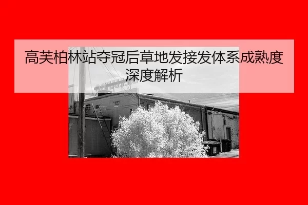 高芙柏林站夺冠后草地发接发体系成熟度深度解析