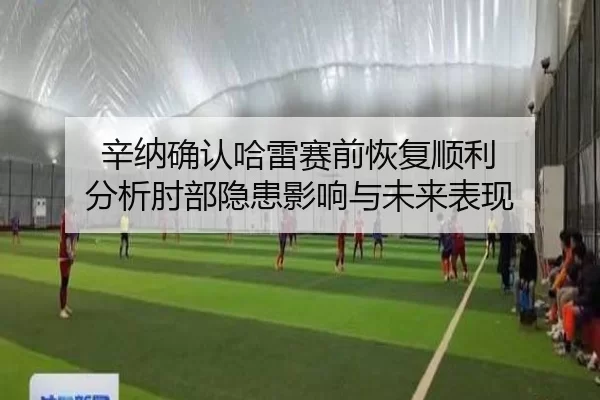 辛纳确认哈雷赛前恢复顺利 分析肘部隐患影响与未来表现
